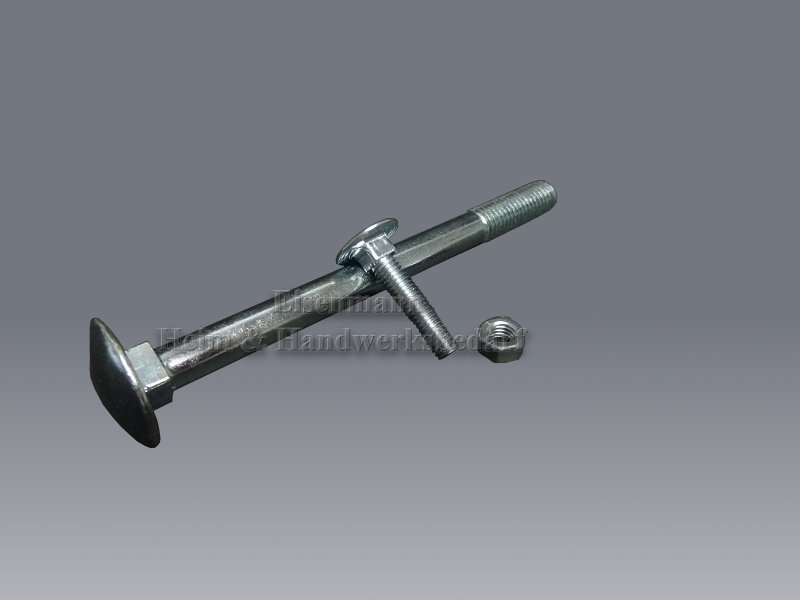 Schloßschrauben M 6 x 140 mm DIN 603 mit Mutter 