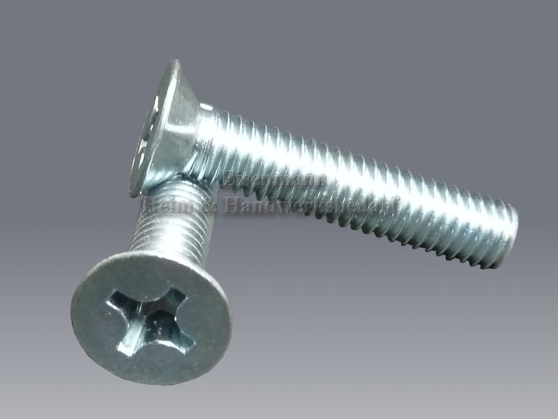 Senkkopfschrauben M2 Länge 6 mm Kreuz DIN 965 verzinkt 